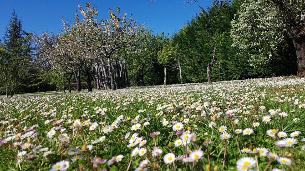 Chambres D'Hotes Domaine De La Brette Moncrabeau エクステリア 写真