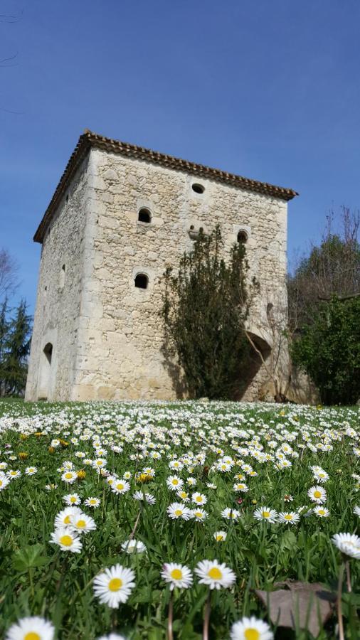 Chambres D'Hotes Domaine De La Brette Moncrabeau エクステリア 写真