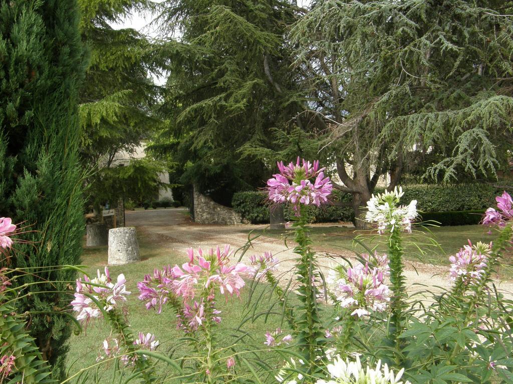 Chambres D'Hotes Domaine De La Brette Moncrabeau 部屋 写真